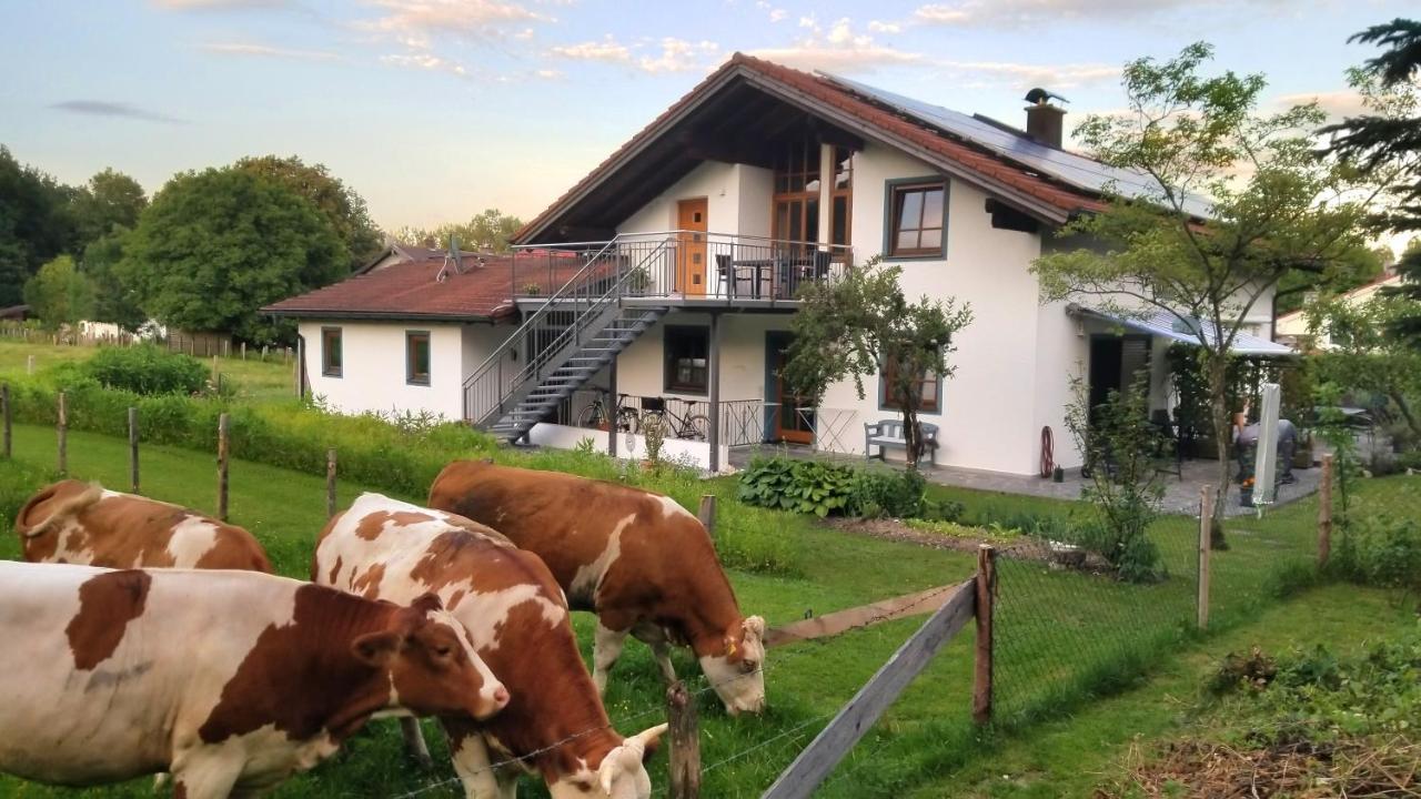 Exclusiv - Ferienwohnung Hinterreiter Ainring Exterior photo